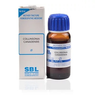 Collinsonia Canadensis Homeopathy Mother Tincture