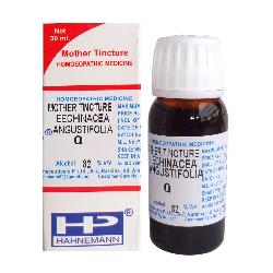 Echinacea Angustifolia Homeopathy Mother Tincture