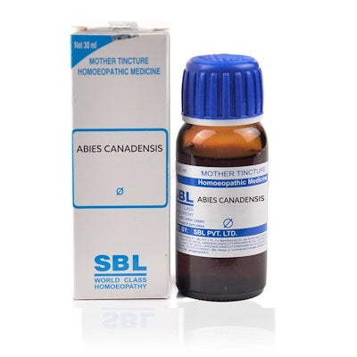 Abies Canadensis Mother Tincture Q