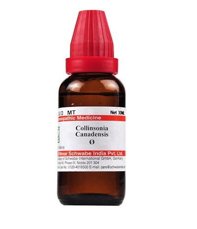 Collinsonia Canadensis Homeopathy Mother Tincture