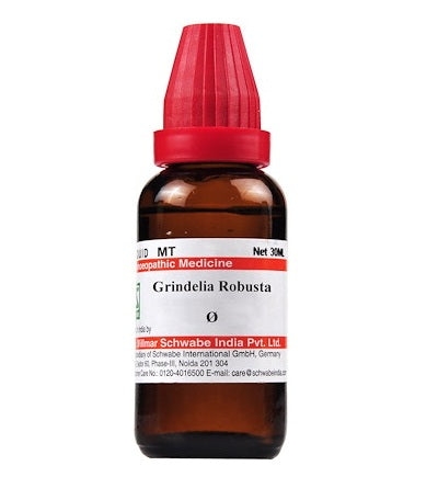 Grindelia Robusta Homeopathy Mother Tincture