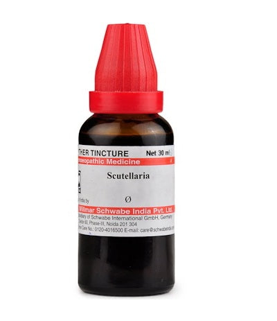 Scutellaria Homeopathy Mother Tincture