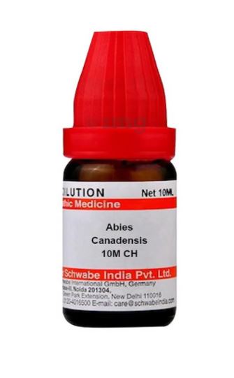 Abies Canadensis Mother Tincture Q