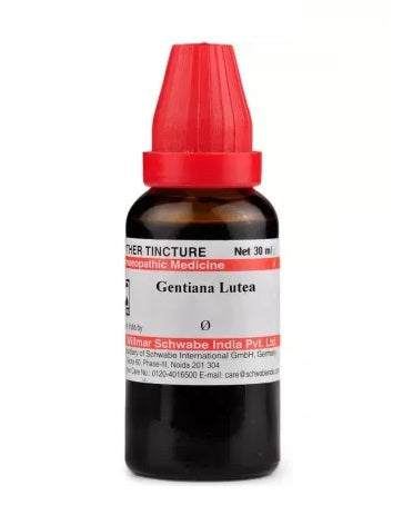 Gentiana Lutea Homeopathy Mother Tincture